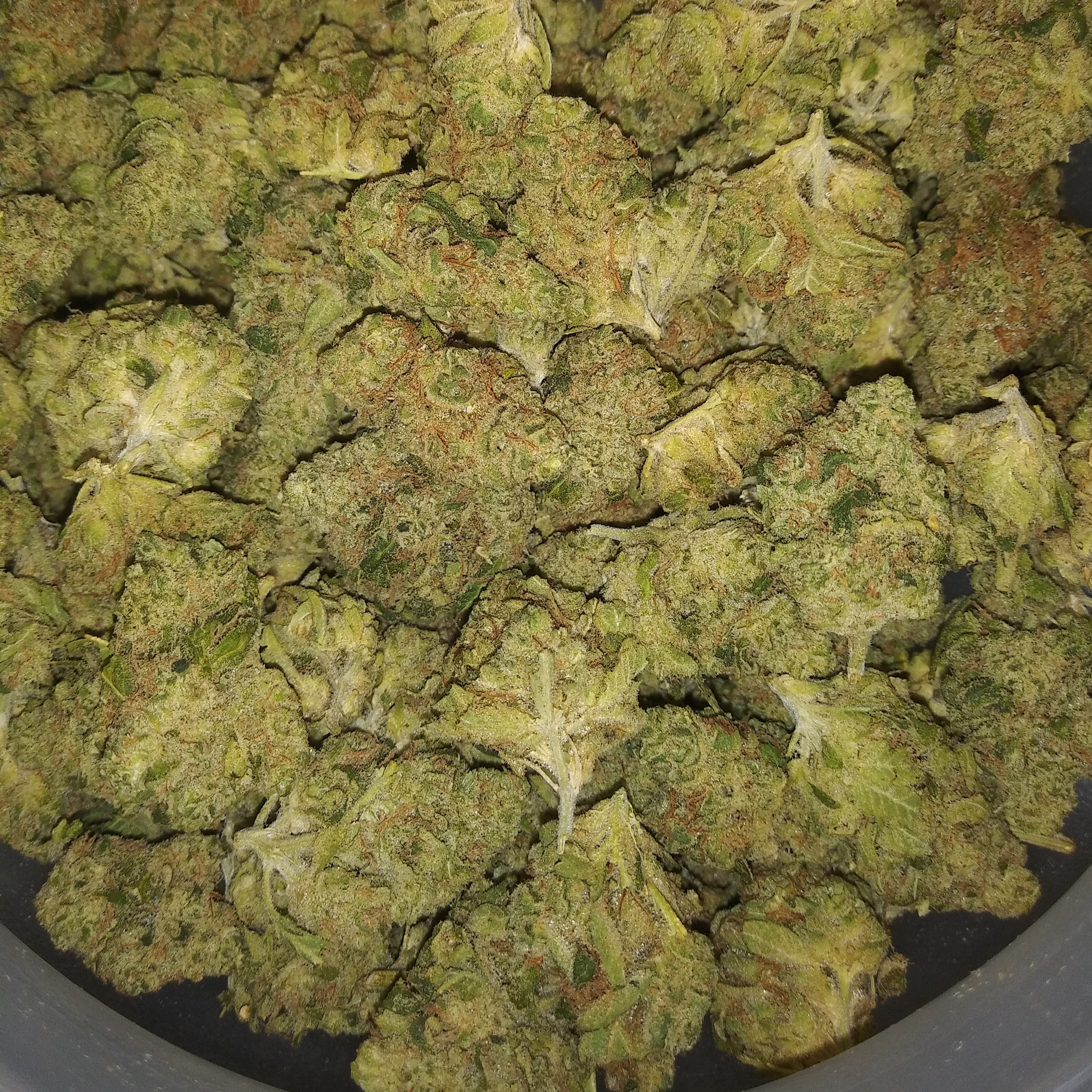 Granddaddy Purple